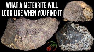 What real Meteorites looks like when you find them ️ Rockhound advice from meteorite experts