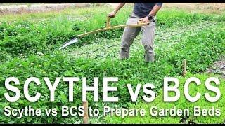 Using a Scythe vs BCS to Prepare Garden Beds