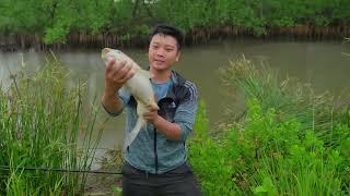 Mangrove fishing in the middle of a stormy day