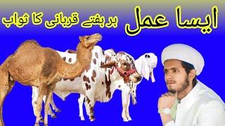 kurbani ka sawab har hafty | jumy ki fazelat | Muhammad bilawal