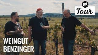 Experimentierfreude in der Pfalz: Zu Besuch beim Weingut Benzinger