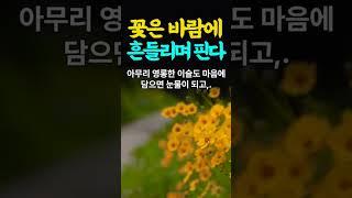 마음에 담아두지마라, 인생의 지혜