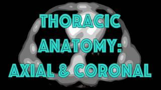 Anatomy Tutorial: Thorax | Radiology Nation