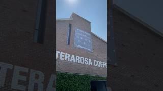 Terarosa Coffee & Roastery / Best Cafe in South Korea and Stan's Drink Choice!!