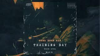 [FREE] Soul Loop Kit 2024 - "TRAINING DAY" (Rylo Rodriguez, Potter Payper, Nines, Real Rap)