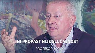 Ni propast nije slučajna - profesor Zec