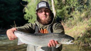 Bobber Doggin’ Beads for WINTER STEELHEAD