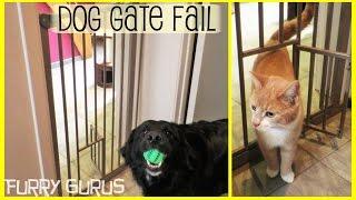 Our Awesome Dog Gate - FAIL | Furry Gurus