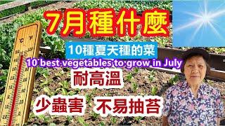 10 best vegetables to grow in July, high temperature resistant, less pests (English Subtitles)