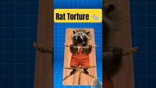 Rat Torture   #facts #funny