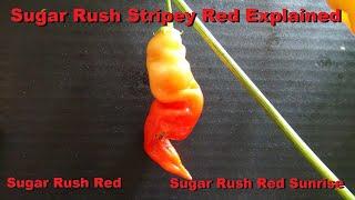 Sugar Rush Red Vs. Sugar Rush Red HUH?? | Sugar Rush Red Sunrise