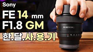 소니 초광각 단렌즈 FE 14mm f1.8 GM 리뷰 (역동적인 영상을 원한다면)