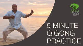 Forest Rock Qigong | 5 Minute Daily Qigong Practice