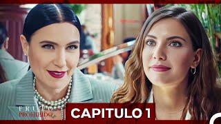 Fruto Prohibido Capitulo 1 (Doblado en Español)