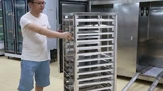 Blast chiller shock freezer with trolleys