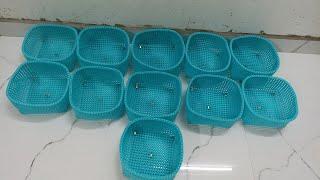 Handmade plastic/ Return gift big size tray/1 roll tray#wirebag #onlineshopping/order for 9443201046