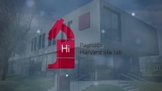 Welcome to the Pagliuca Harvard Life Lab