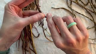 Dandelion Cordage