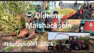 Oldtimer Maishäckseln,  Nikolausdorf 2024 Traktoren, Häcksler.Veranstaltung Garrel.