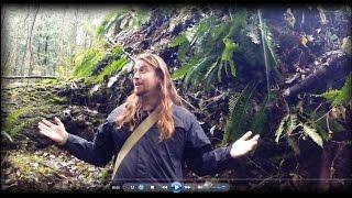 Permaculture Tip of the Day - Growing a Forest From a Forest
