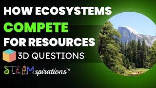 3-D Questions from STEAMspirations: How Ecosystems Compete for Resources