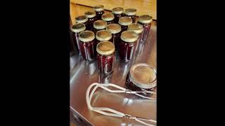 Producing Wild Pickled Blueberries.