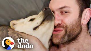 Guy Rescues Lab Puppy In The Middle Of The Night | The Dodo