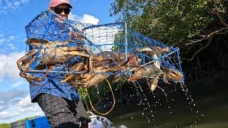 Full Crab Pots - BIG MUD CRABS | Cook up!