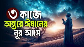 তিন কাজে অন্তরে ঈমানের নূর আসে || Hadis bangla || Islamic remainder || jannat jahannam || পরিণতি