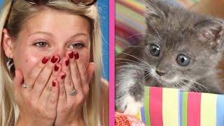 Cat Lovers Get Surprised By A Box Of Kittens