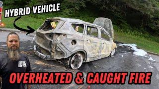 Hybrid Vehicle BURNT TO THE GROUND After Overheating In The National Park