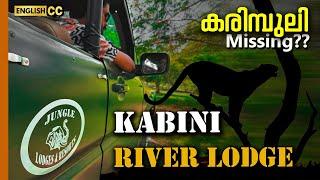 Kabini Wildlife Safari | Kabini river lodge | Nagarhole national park | Thirunelli | JLR #trawild