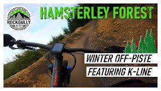 Hamsterley Forest Winter Mountain Biking - Off-piste / Black / Red trails