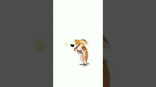 Pogo Corgi