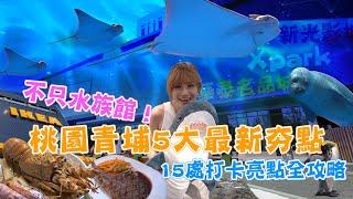 不只水族館！桃園青埔5大最新夯點 15處打卡亮點全攻略【食尚小編出任務】