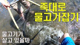 실개천에 살모사(독사)가 큰일 날뻔 했어요/드론영상/kf101max1