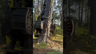 Technological innovations in forestry : John deere attack #harvester #johndeere #forest #viralvideo