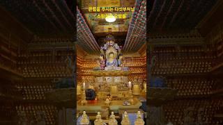#백천사#오방불#소원성취 #나무아미타불 #korea #사찰순례