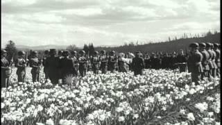 Women pick up daffodils from the garden and the couple exchange rings during a we...HD Stock Footage