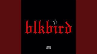 BlkBird