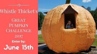 Whistle Thicket's : Great Pumpkin Challenge!