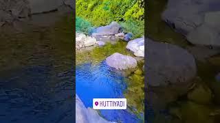 ️️️..kuttiyadi#ytshorts #nature #naturephotography #naturelovers