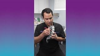 What is a Cervical Epidural Injections Explained by Dr. Anthony Giuffrida