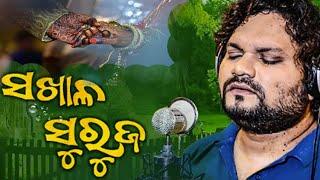 Sakhala Suruja II Humane Sagar Odia New Sad Song II udyog vikas creation