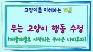 무는 고양이 버릇고치기 (고양이 행동 수정- 깨물깨물 장난으로 시작되는 무서운 나비효과)