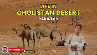 Life in Cholistan Desert | Cholistan Desert Documentary | Camels in Desert | Livelog