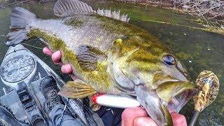 Topwater Fishing Giant Fall Smallmouth