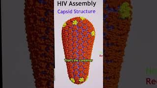 This Breakthrough HIV Drug Changes Everything #medicine #information #health #uofuhealth