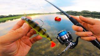 Je DÉCOUVRE une nouvelle technique en pêchant la LOIRE DU BORD ! VOUS DEVEZ TESTER !