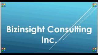 Bizinsight Consulting Introduction